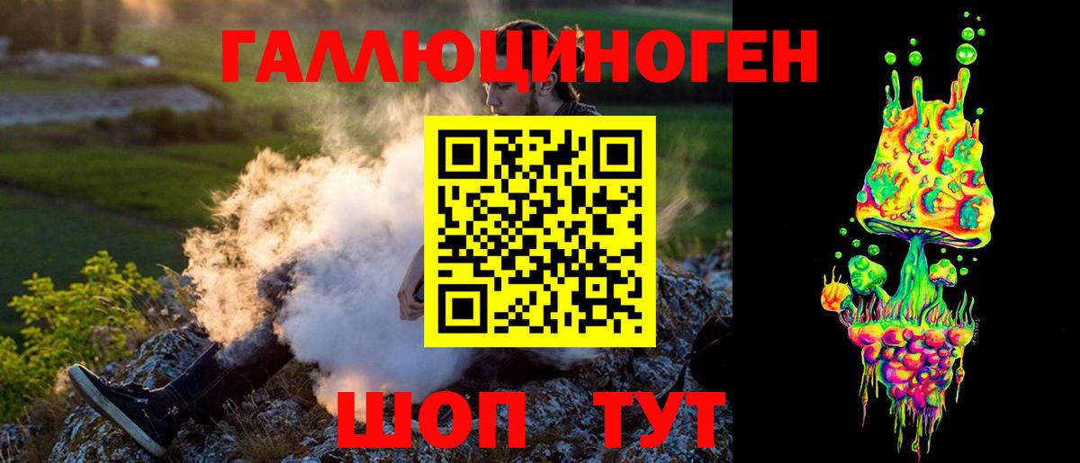 Галлюциногенные грибы Cubensis  Вход с VPN  Серов 